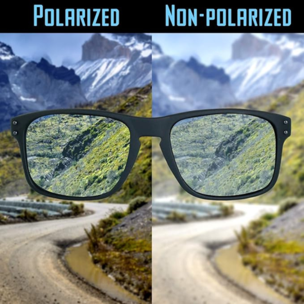 Polarized Sunglass